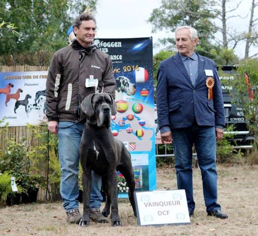 NATIONALE D'ELEVAGE DOGGEN CLUB DE FRANCE - NEUVIC 2016 