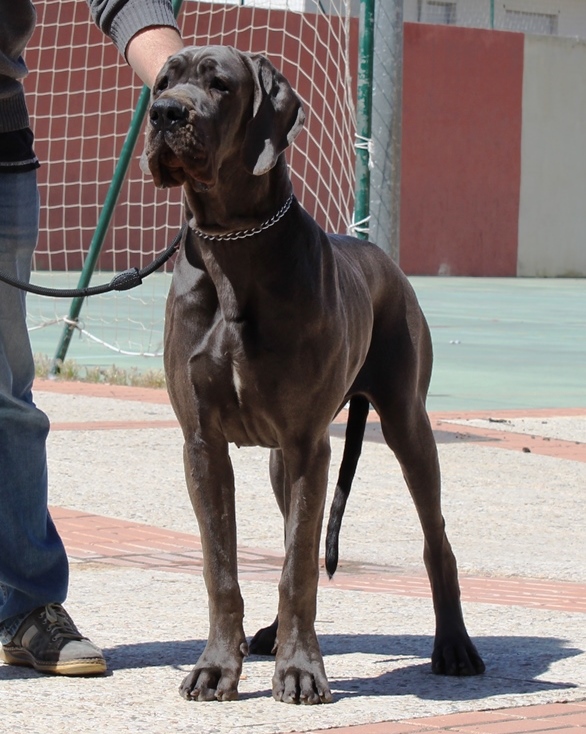 NUEVO CAMPEONATO DE CASALBERO 