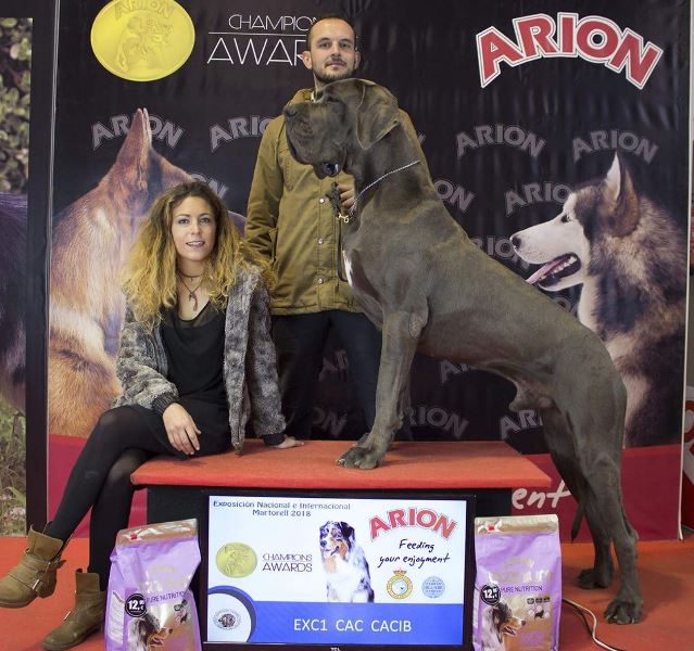 EXPOSICIONES NACIONAL E INTERNACIONAL DE MARTORELL 2018 