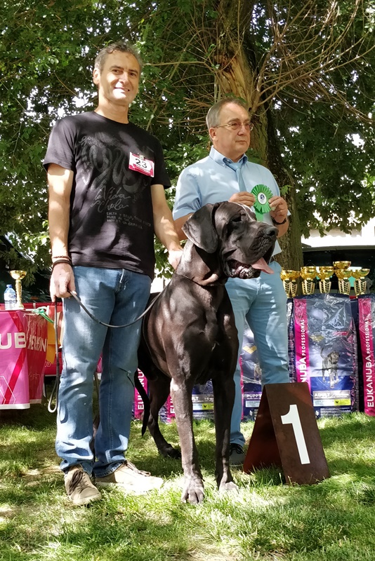 XV MONOGRAFICA REGIONAL DEL CEDDA EN VALLADOLID  