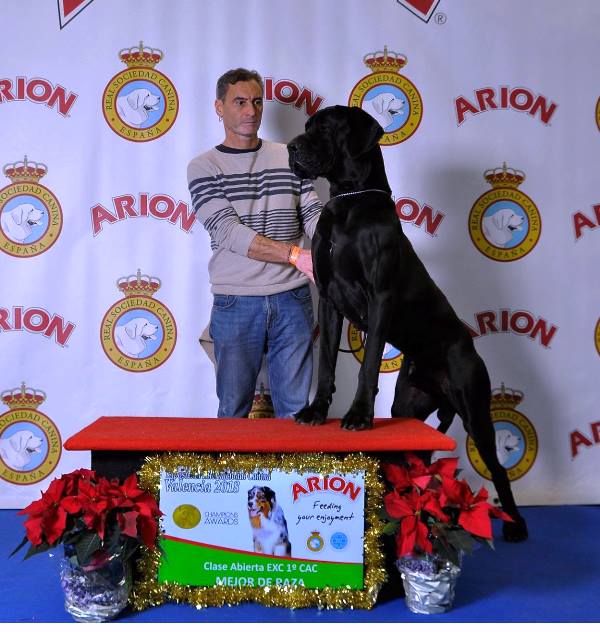 EXPOSICION NACIONAL DE VALENCIA 2018 