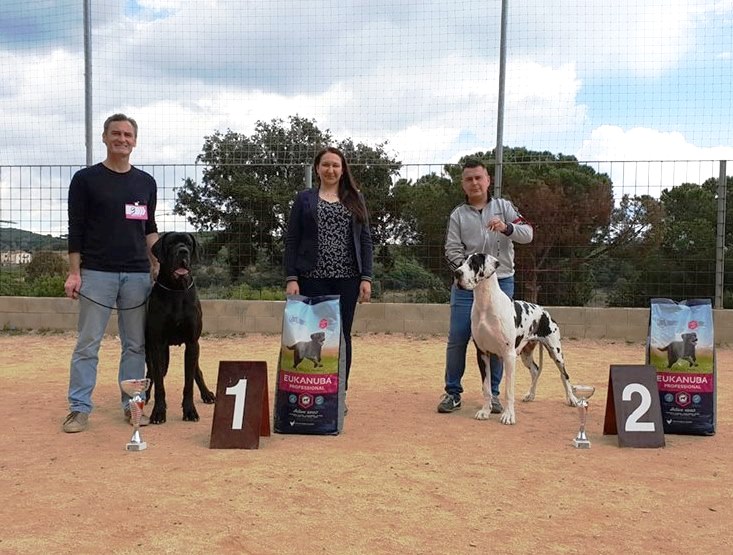 XVI MONOGRAFICA REGIONAL DEL CEDDA EN CATALUÑA - O'NEAL DE CASALBERO BIS ABSOLUTO 