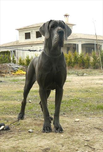 CH QUICKSILVER DE CASALBERO 