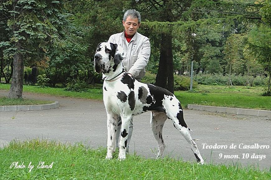 CH TEODORO DE CASALBERO