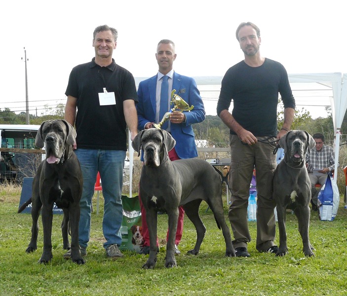 MONOGRAFICA NACIONAL CLUB PORTUGUES (DACP) Y FORUM WINNER DACP 2016